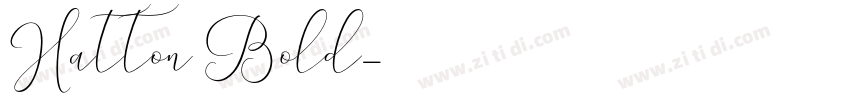 Hatton Bold字体转换